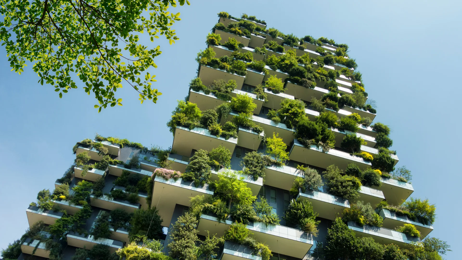 Green Building Education bosco verticale