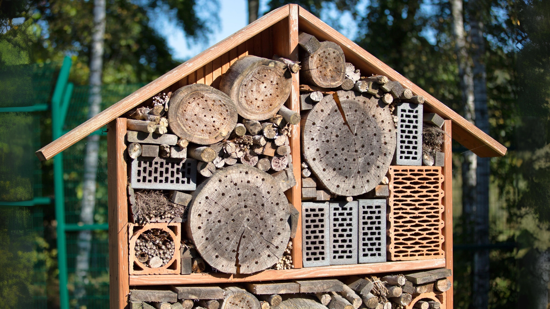 Bugs Hotel