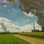 Greenwashing